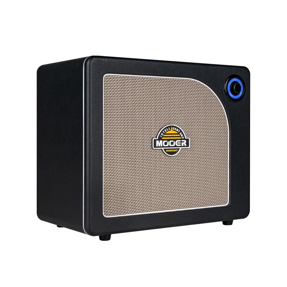 Mooer Hornet 30i Intelligent Amplifiers